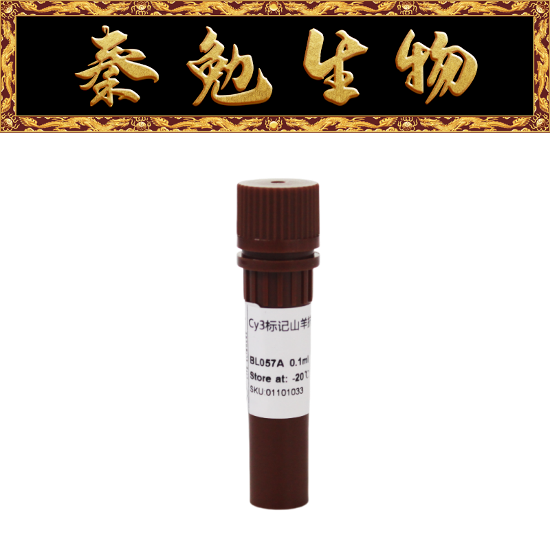 Biosharp白鲨 BL057A Cy3标记山羊抗小鼠IgG(H+L)