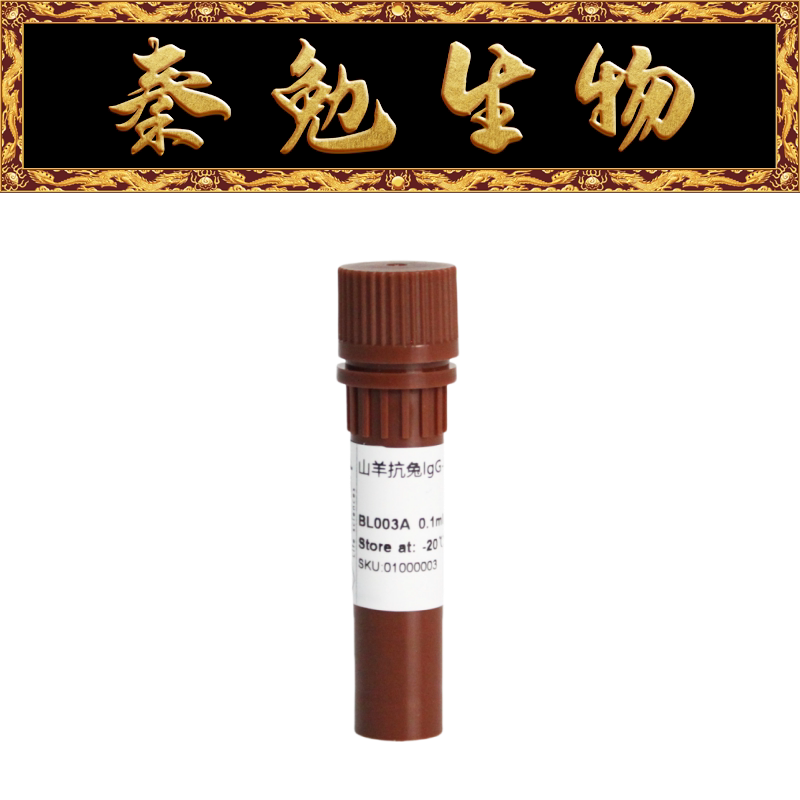 Biosharp白鲨 BL003A 羊抗兔IgG-HRP