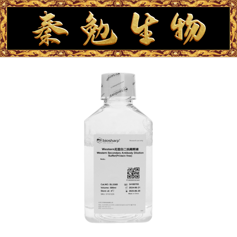 Biosharp白鲨 BL536B Western无蛋白二抗稀释液