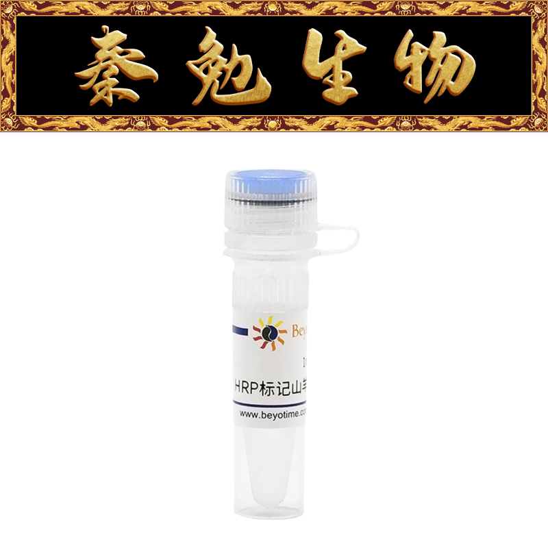 碧云天 A0208 辣根过氧化物酶标记山羊抗兔IgG(H+L)