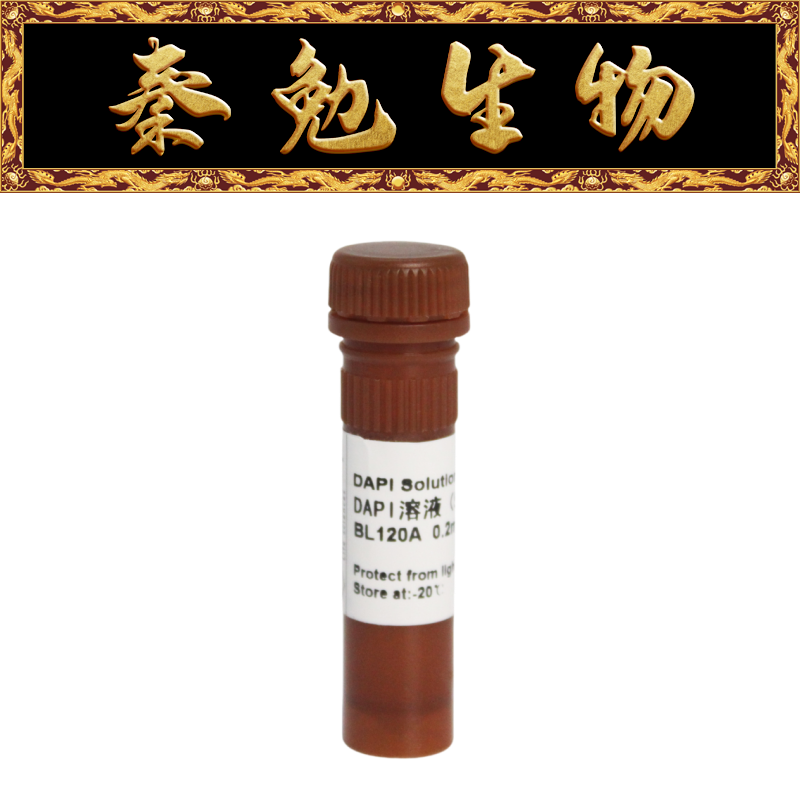 Biosharp白鲨 BL120A DAPI溶液（5mg/ml）