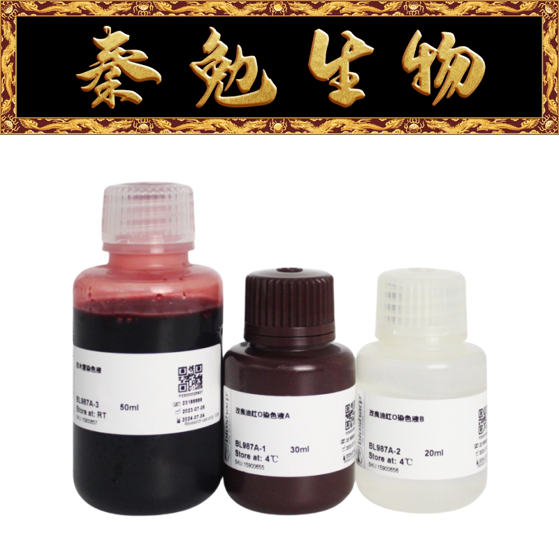 科研实验用改良油红O染色液 BL987A型白鲨Biosharp实验试剂
