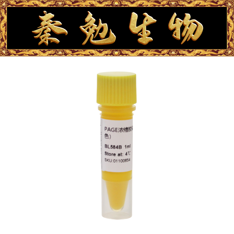 Biosharp白鲨 BL584B PAGE浓缩胶染料（250&times;，黄色）