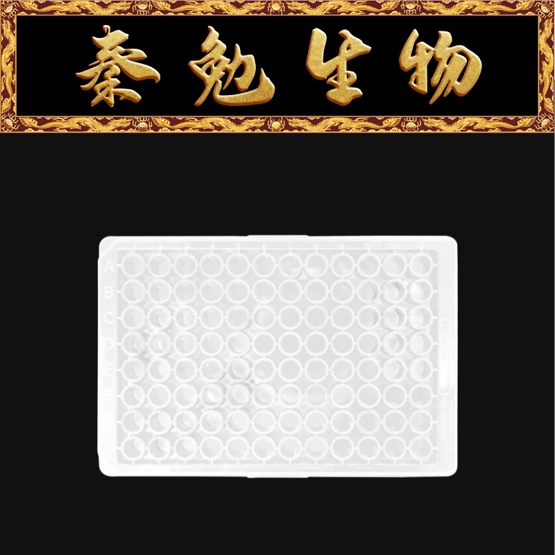LABSELECT甄选 33112 96孔PP微孔板,白底白板,未灭菌,不带盖