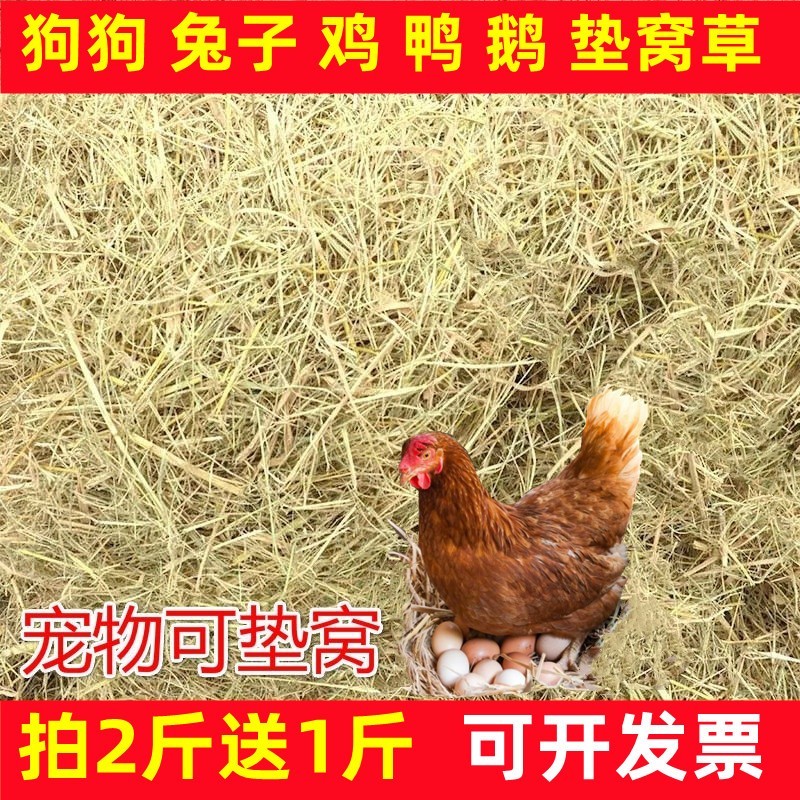 Chicken nest straw natural pet nest chicken nest grass dry straw decoration filling dog duck nest grass props grain grass straw