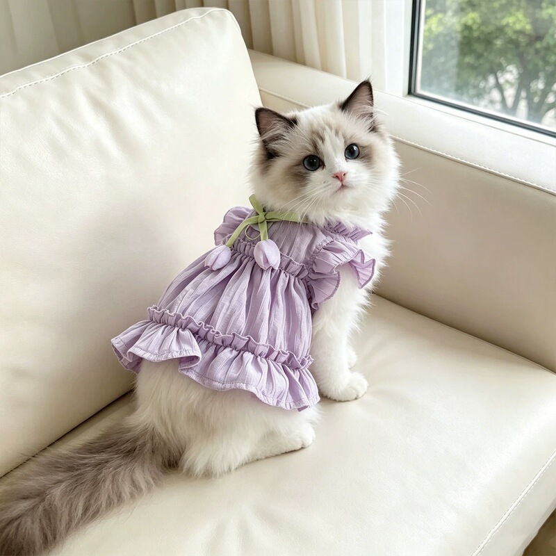 Summer Cat Dress with Tulip Bow, Suitable for Ragdoll, Golden Shaded, Devon Rex, British Shorthair, Pet Clothing Summer Cat Dress with Tulip Bow, Suitable for Ragdoll, Golden Shaded, Devon Rex, British Shorthair, Pet Clothing