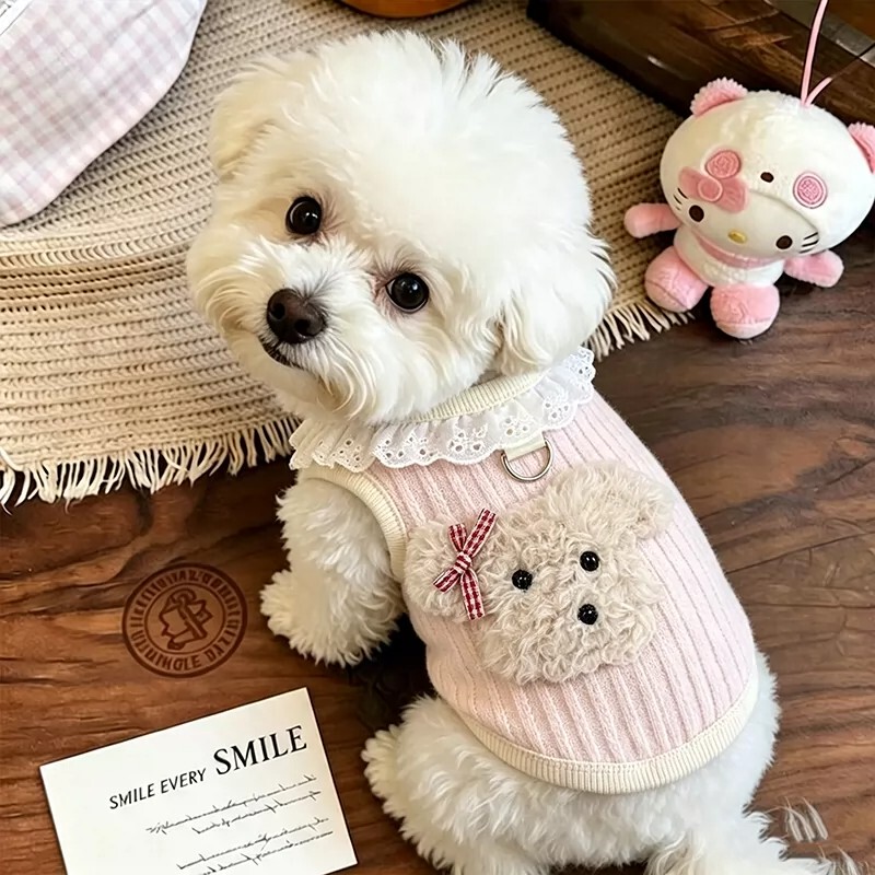 Spring and Summer New Cute Puppy Vest with Leash for Small Dogs Like Teddy, Bichon, Maltese, and Cat Clothes
