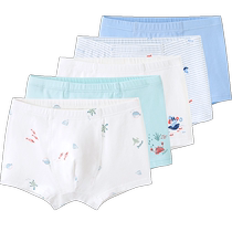 Yings childrens underwear boys boxer briefs boxer briefs infant underwear 2024 new baby girls shorts