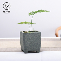 Yiqiantang blue stone flowerpot Begonia bonsai basin simple succulent plant flower potted stone carving flower pot square bonsai