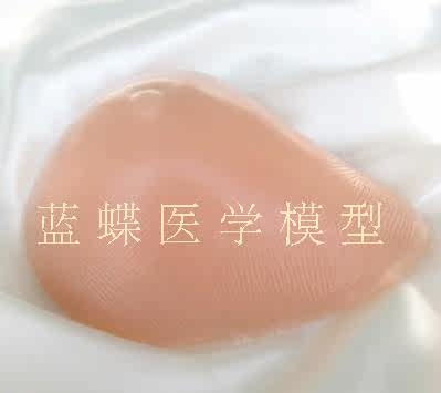 Coques pour soutien-gorge - Ref 817911 Image 3