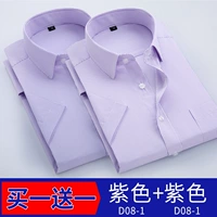 D08-1 Purple+D08-1 Purple