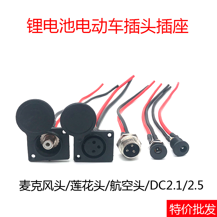Lithium Battery Electric Car Charger Output Clip Wire Nail Non plug socket Three-core charging opening Lotus Head Air Head DC