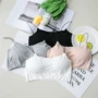 Tizi 妃 妃 áo bra giá tốt