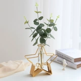 Nordic Simple Glass Hydroponic Vase замедляет магазин очков, домашняя гостиная, Plog Plog Creative Display