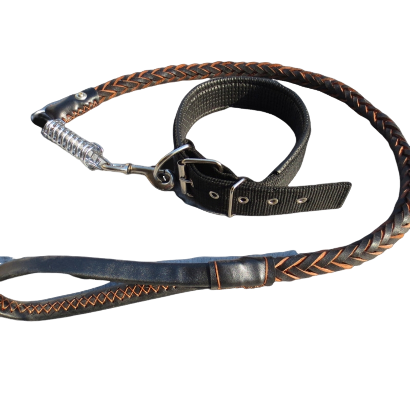 Pet Chain 8 Strands Spring Bull Leather Rope Dog Chain Sub neck suit Kim Maud Shepherd Walk Dog Rope Traction-Taobao