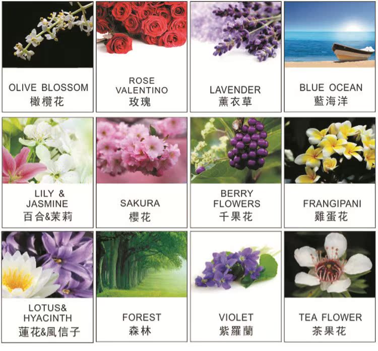 vòng trầm hương xịn OAXIZ xác thực hoa nho hạt không lửa trong phòng ngủ trong phòng phòng nước hoa tinh dầu tinh dầu hộp nhỏ bộ quà tặng - Sản phẩm hương liệu tram huong