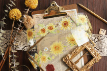 Taiwan-made tape lucky bag