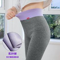 2021 autumn winter grey beating underpants female outside wearing a slim fit and thickened and thickened with high waist and small feet 90% pants
