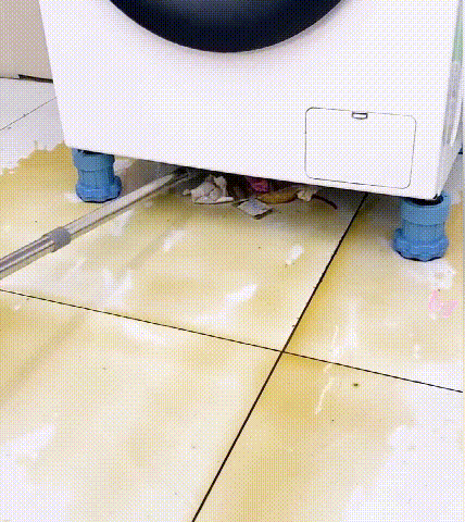 018.gif