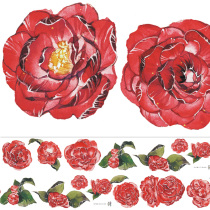 New seven days PET corpora handbill hand ledger material and paper adhesive tape stickers Late Mountain tea Long cycle Toil Non-whole volume