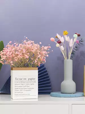 Immortal star Reed dry flower Net red flower arrangement small bouquet real flower diy material home living room decoration