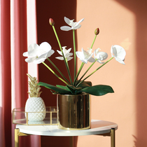 Upscale emulated flower butterfly orchid fake flower potted flowers Potted plant Dining Room Table TV Cabinet Tea Table Silk Flower Decoration Furnishing