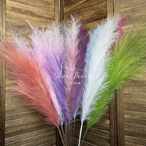 Simulated reeds artificial pampas reeds pampas grass window decorations photography props wedding home furnishings pink and white feathers