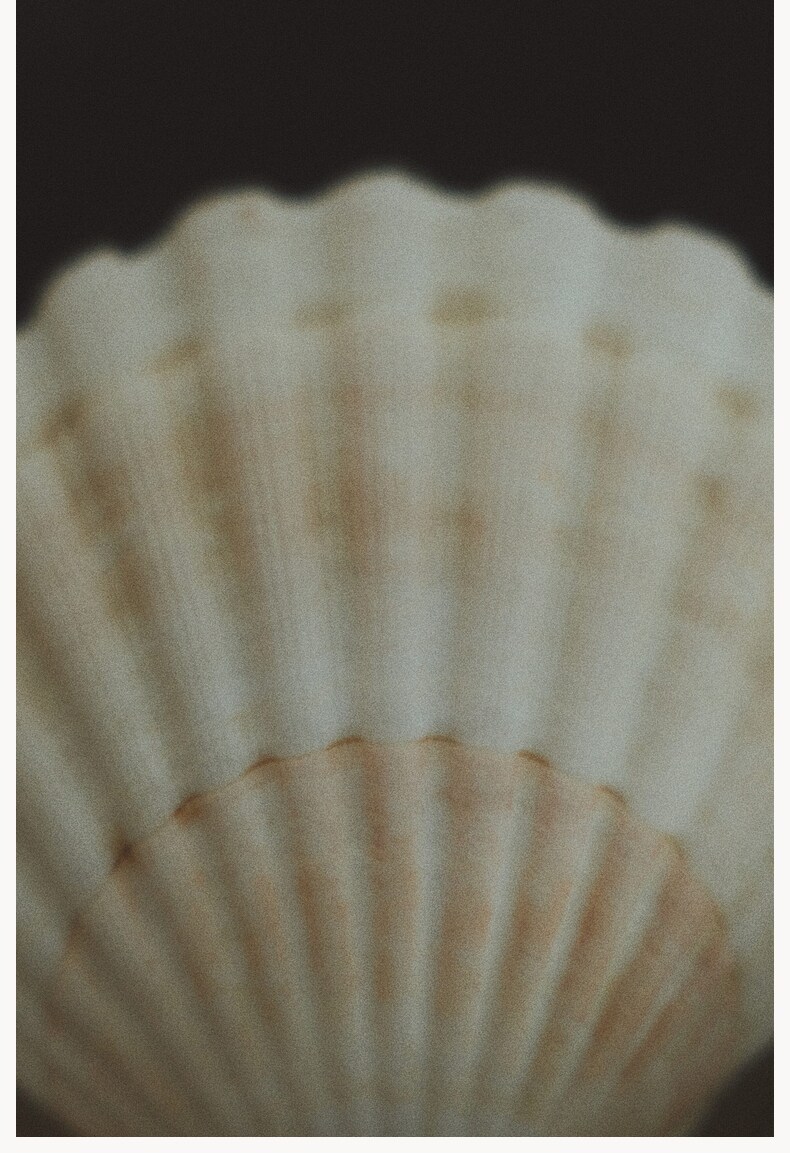 Декоративная чаша hm home2026春季新款有脚不锈钢碗1307114 H&M