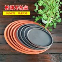 (2 loaded) oval trays Home flower pots Tray Bonsai Type Flower Toresin Oval