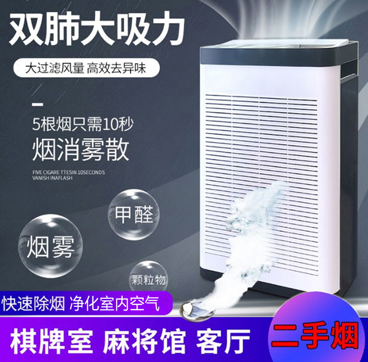 Negative Ion Air Purifier for Home Use to Remove Smoke, Haze, Formaldehyde, Pregnant Women and Infants, Indoor Dust Filter