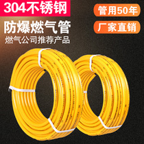 Stainless steel pipe gas pipe metal bellows gas pipe natural gas pipe gas stove hose explosion-proof household