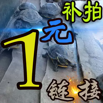 Postage to make up the difference