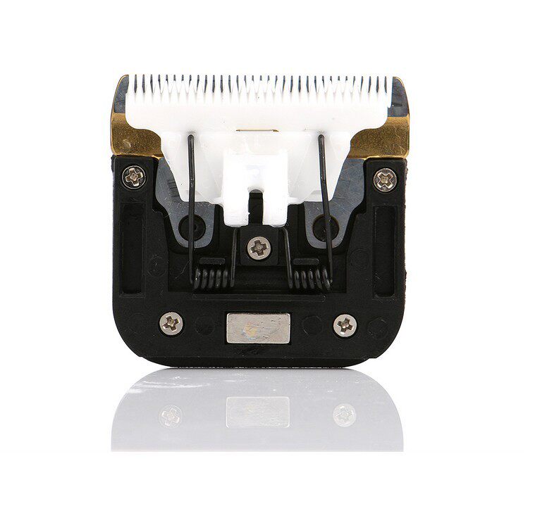 200W long hair rabbit electric push cut original fit knife head 55W Puppy Tibetan mastiff Lion Pet Shave to charge the tweezers