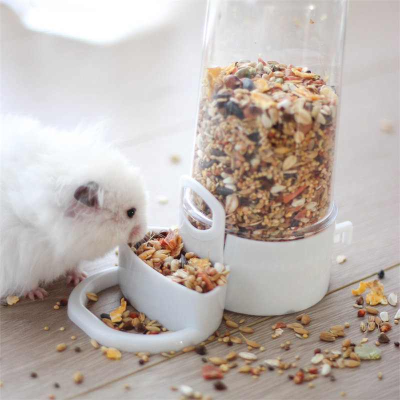 Picture of 🌟 A must-have for pet owners | Jixingqiu hamster automatic feeder ...