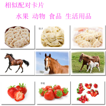 Food Similar Matching Card Fruit Animal Living Goods Autism Children with Autism Language Development Delay