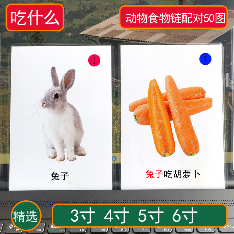 Animal Food Matching Autism Card Autism Language Expression Rehabilitation Training Aids What to Eat What Card