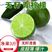 Seedless lime 3 pounds fresh fruit small lime perfume seedless lemon milk tea whole box wholesale
