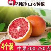 South Africa imported red heart grapefruit fresh 4 seasonal fruit tea wholesale whole box grapefruit pregnant fruit