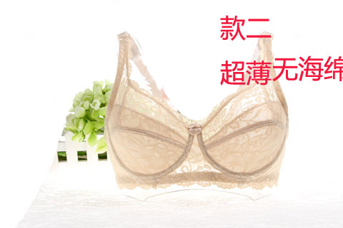 Breathable áo ngực vạt áo sexy ren mờ đồ lót siêu mỏng không có bọt biển mỏng khuôn cup mùa hè sân lớn đầy đủ nắp cốc.