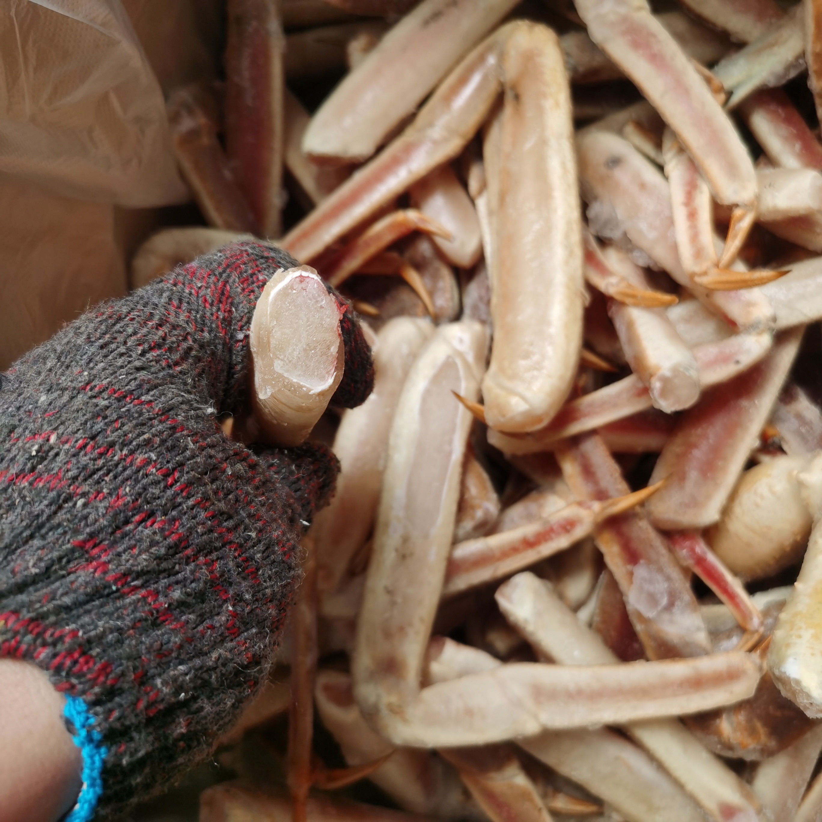 雪蟹腿盛宴：10斤装松叶蟹生冻蟹腿肉，自助餐商用必备！