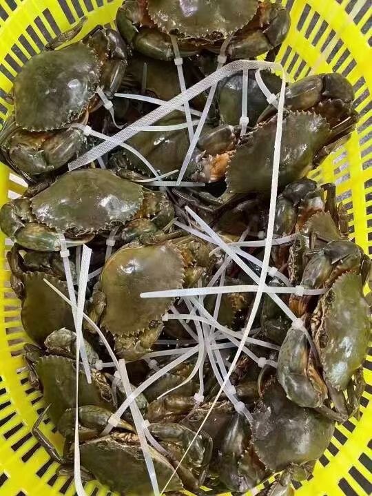 赢天下三门青蟹合作铺企业店