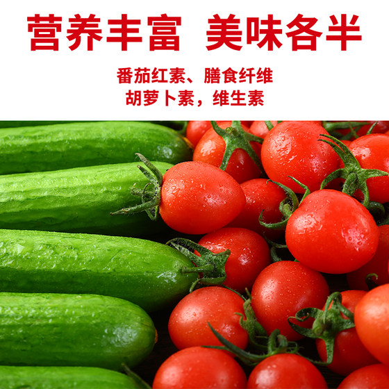 Cherry tomato fruit and cucumber combination 2Jin [Jin equals 0.5kg]/4Jin [Jin equals 0.5kg] Fresh raw single fruit