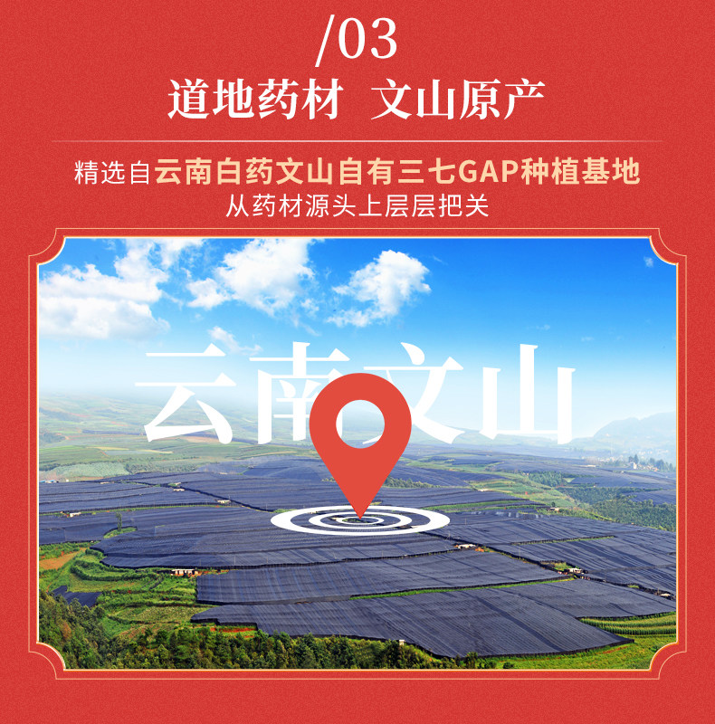 云南白药 气血康口服液 10mL*20支盒装*2件 双重优惠折后￥155