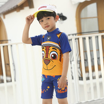 Korean version of Korean Wang Wang team cartoon childrens swimsuit boy split swimsuit handsome surf suit suit quick drying suit