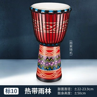 Свет 10 тропических дождевых лесов+подарок