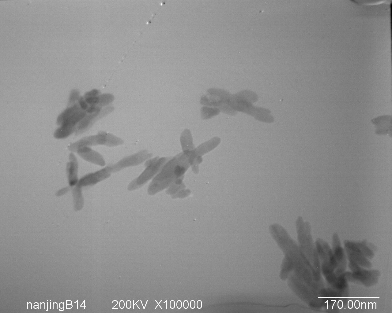 纳米羟基磷灰石 羟基磷灰石 超细羟基磷灰石  医用  骨水泥 1公斤