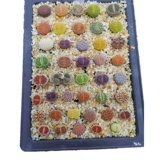 Сочные растения сырые каменные цветы Смешанные комбинации тазовых осадков с горшками с доставкой почвы, один выстрел смешанный балкон