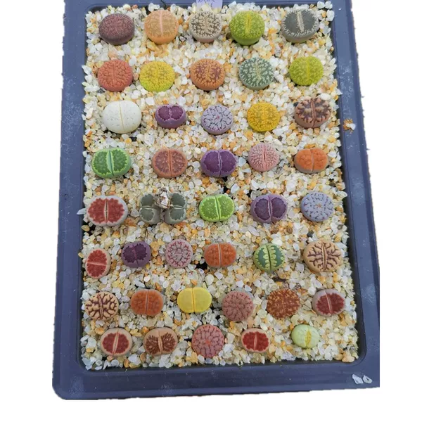 Товары от ivorsun