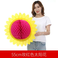 На солнечной энергии, 55см