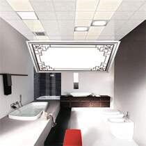 Dare to 300x450 integrated ceiling lamp LED kitchen and bathroom lamp 30x45 kitchen lamp aluminum gusset embedded panel light